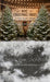 New York Christmas Tree Lot Sweeps (CC)