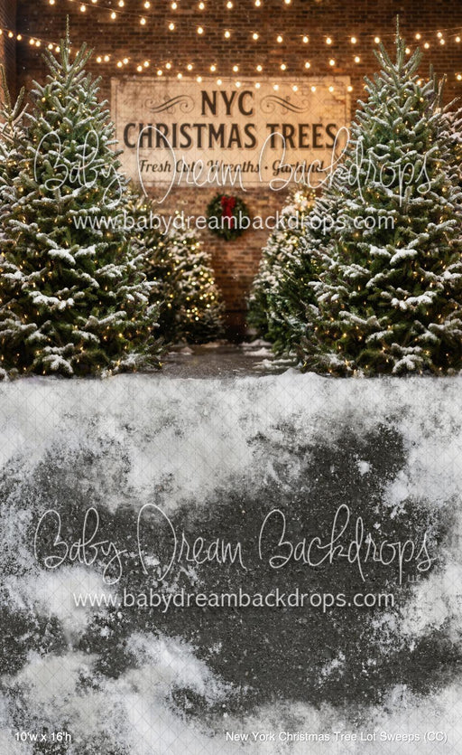 New York Christmas Tree Lot Sweeps (CC)