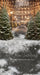 New York Tree Street Sweeps (CC)