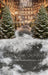 New York Tree Street Sweeps (CC)