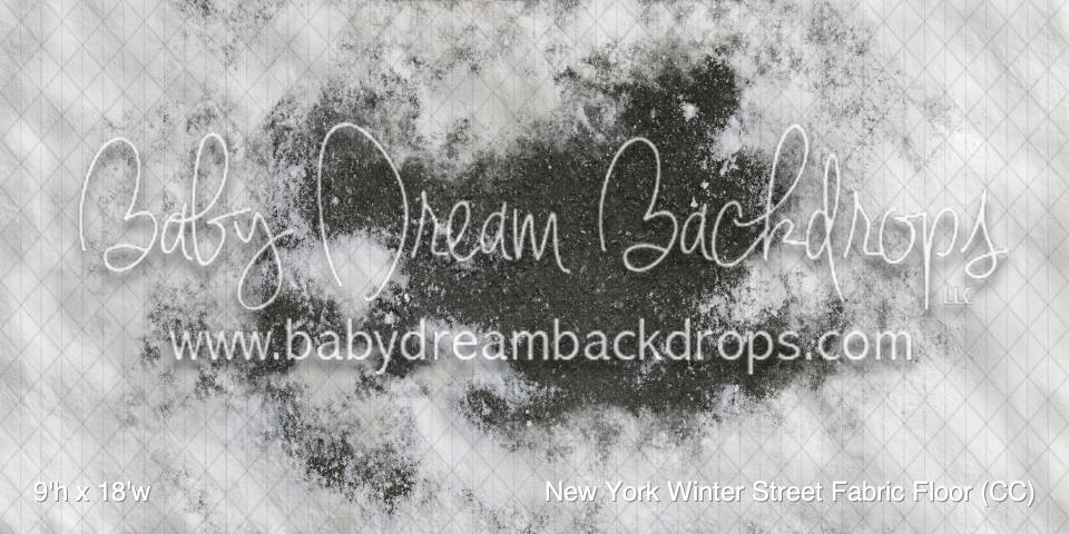New York Winter Street Fabric Floor (CC)