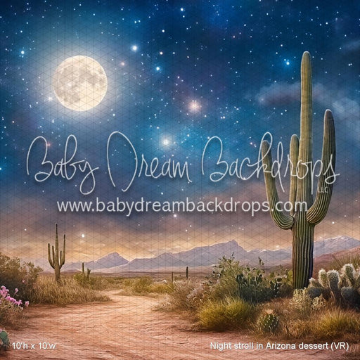 Night stroll in Arizona dessert (VR)