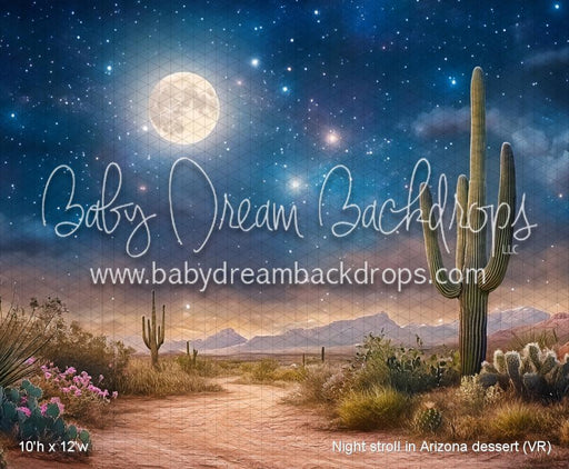 Night stroll in Arizona dessert (VR)