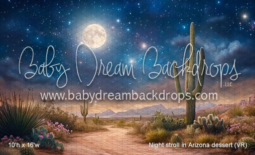 Night stroll in Arizona dessert (VR)
