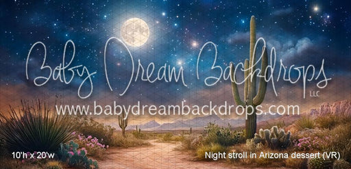 Night stroll in Arizona dessert (VR)