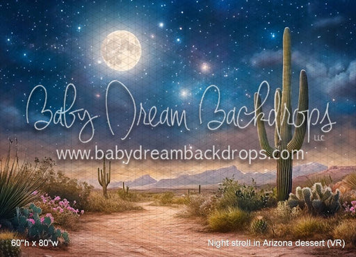 Night stroll in Arizona dessert (VR)