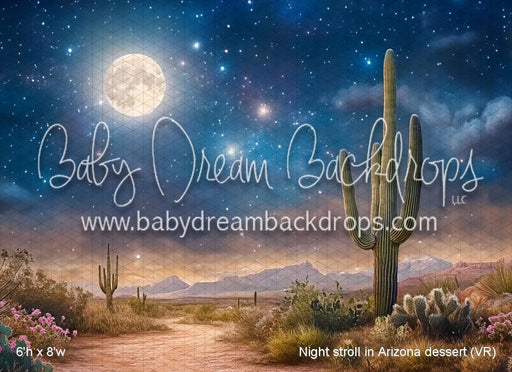 Night stroll in Arizona dessert (VR)