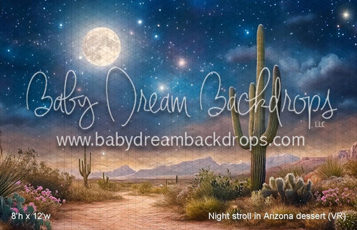 Night stroll in Arizona dessert (VR)