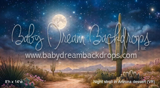 Night stroll in Arizona dessert (VR)