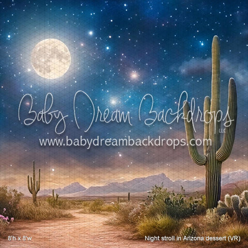 Night stroll in Arizona dessert (VR)