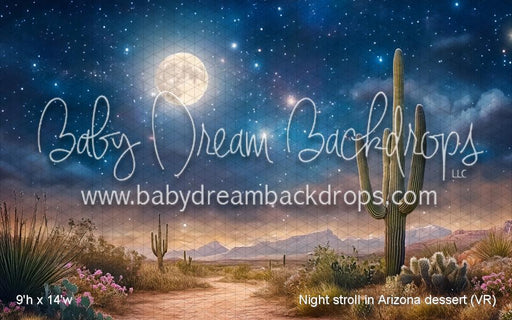 Night stroll in Arizona dessert (VR)