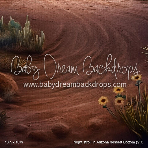 Night stroll in Arizona dessert Bottom (VR)