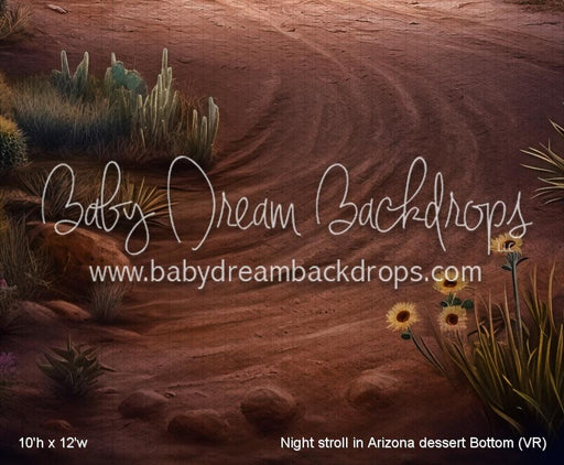 Night stroll in Arizona dessert Bottom (VR)