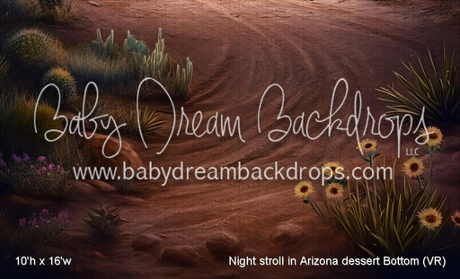 Night stroll in Arizona dessert Bottom (VR)