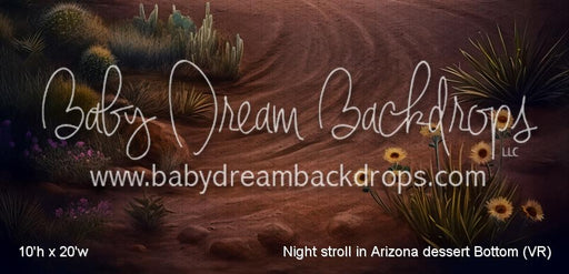 Night stroll in Arizona dessert Bottom (VR)
