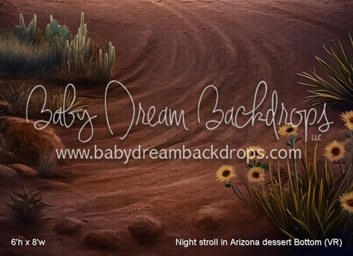 Night stroll in Arizona dessert Bottom (VR)
