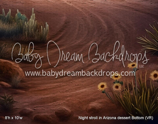 Night stroll in Arizona dessert Bottom (VR)