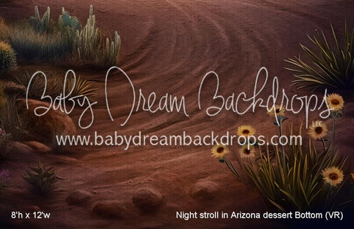 Night stroll in Arizona dessert Bottom (VR)