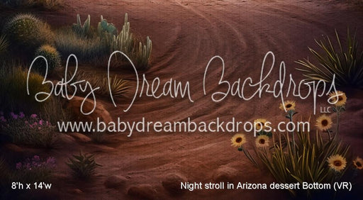Night stroll in Arizona dessert Bottom (VR)