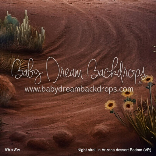 Night stroll in Arizona dessert Bottom (VR)
