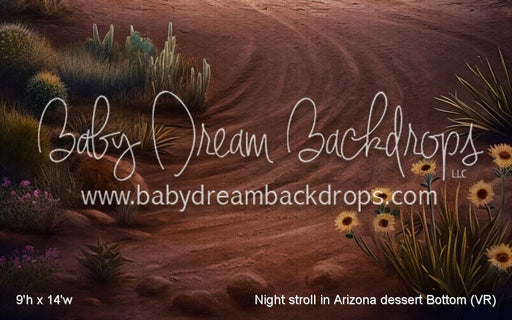 Night stroll in Arizona dessert Bottom (VR)