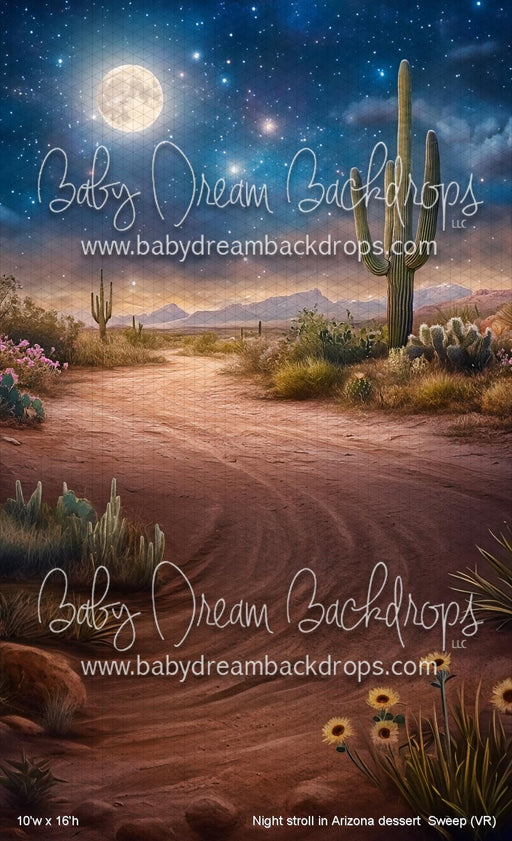 Night stroll in Arizona dessert  Sweep (VR)