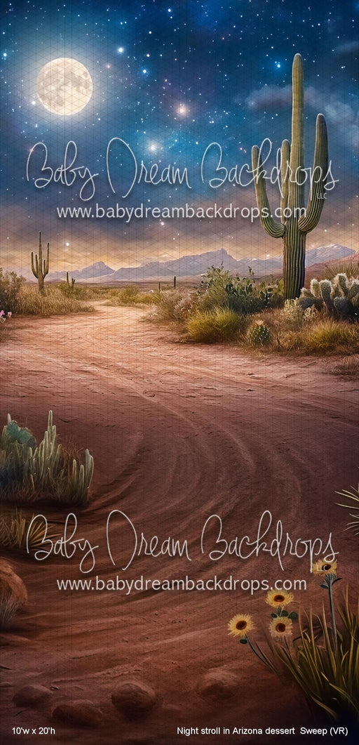 Night stroll in Arizona dessert  Sweep (VR)