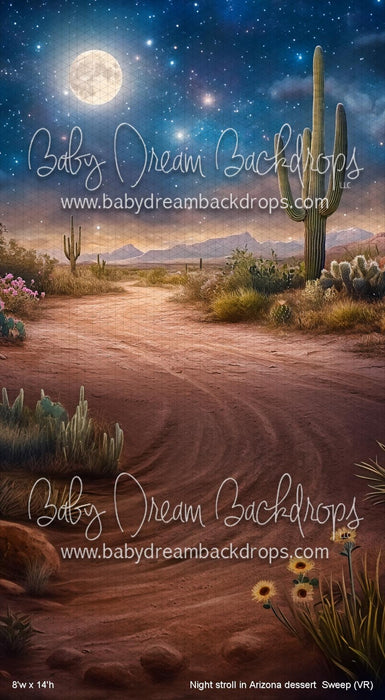 Night stroll in Arizona dessert  Sweep (VR)