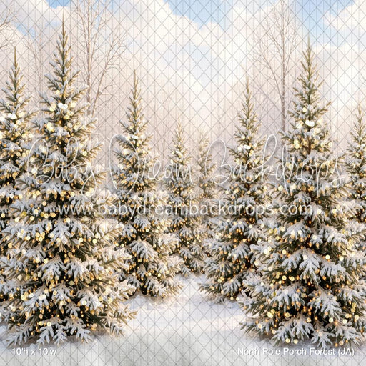 North Pole Porch Forest (JA)