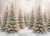 North Pole Porch Forest (JA)