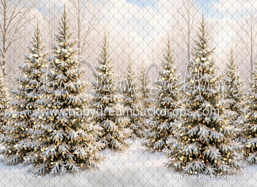 North Pole Porch Forest (JA)