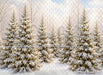 North Pole Porch Forest (JA)