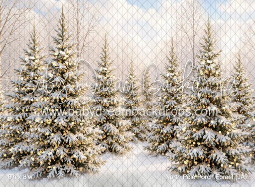 North Pole Porch Forest (JA)