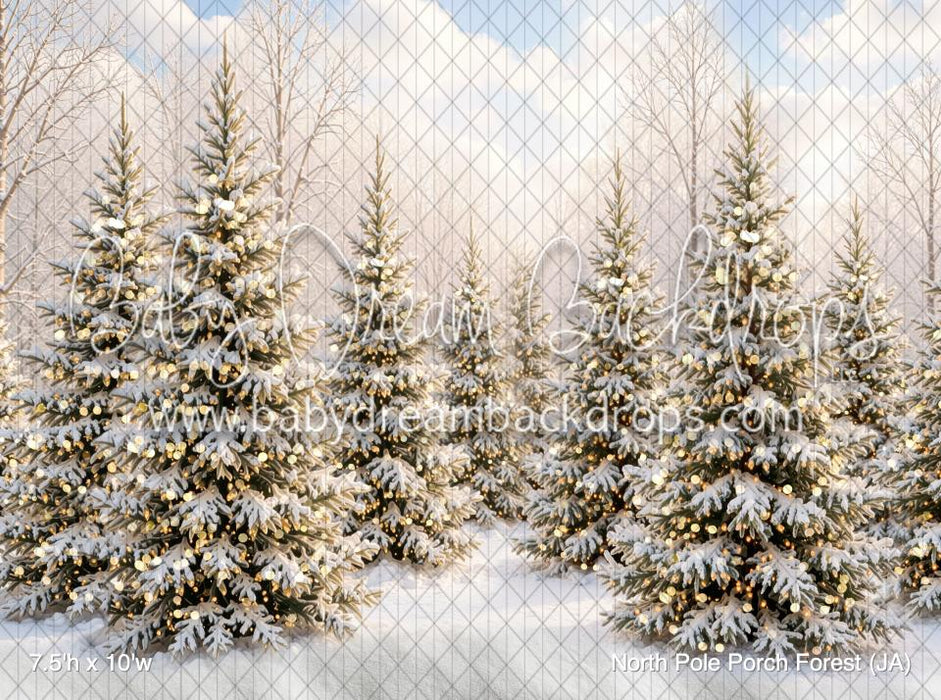 North Pole Porch Forest (JA)