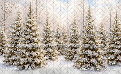 North Pole Porch Forest (JA)