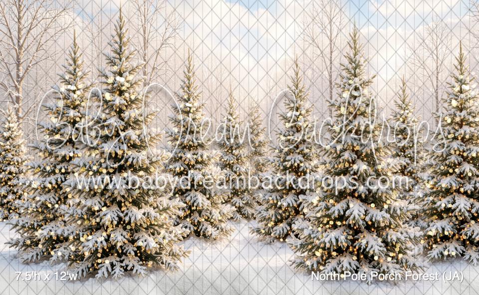 North Pole Porch Forest (JA)