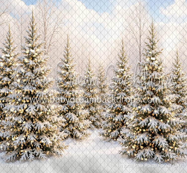 North Pole Porch Forest (JA)