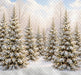 North Pole Porch Forest (JA)