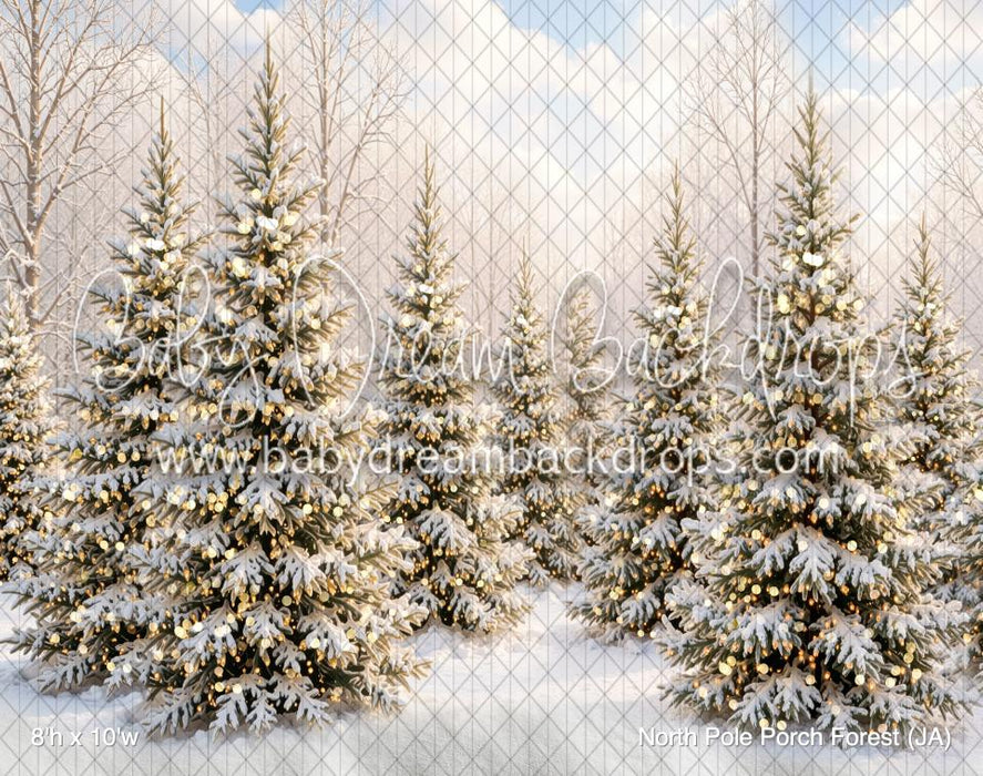 North Pole Porch Forest (JA)