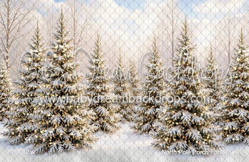 North Pole Porch Forest (JA)