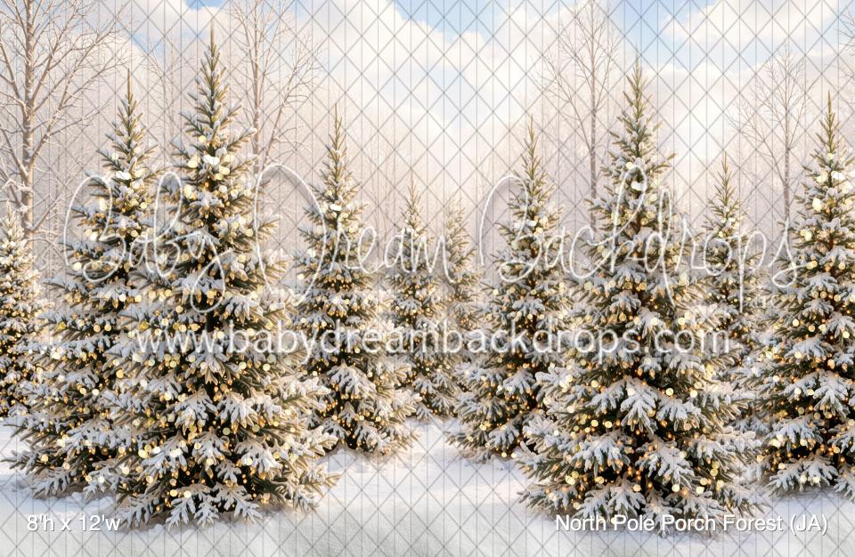 North Pole Porch Forest (JA)