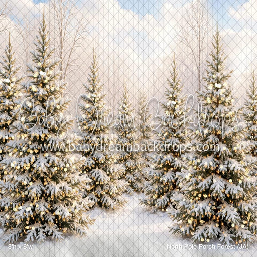 North Pole Porch Forest (JA)