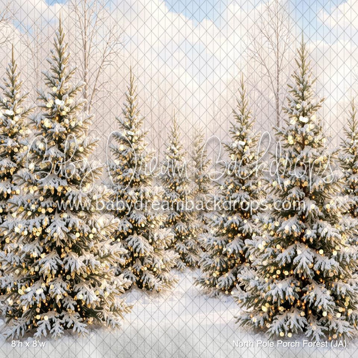 North Pole Porch Forest (JA)