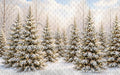 North Pole Porch Forest (JA)