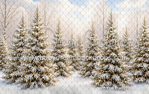 North Pole Porch Forest (JA)