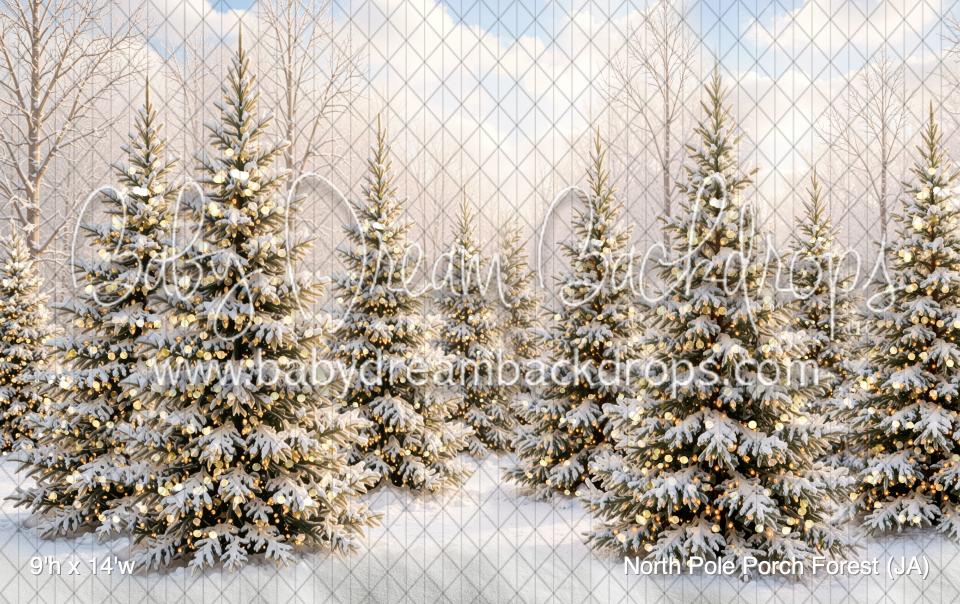 North Pole Porch Forest (JA)