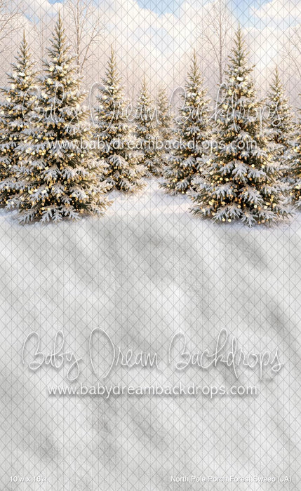 North Pole Porch Forest Sweep (JA)
