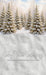 North Pole Porch Forest Sweep (JA)