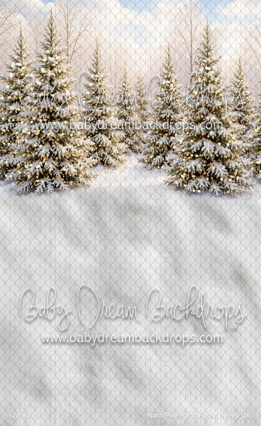 North Pole Porch Forest Sweep (JA)