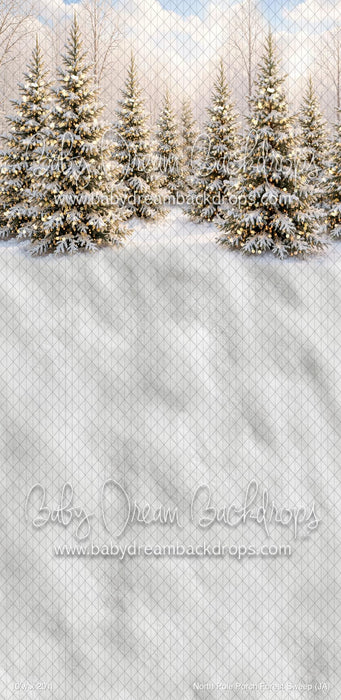 North Pole Porch Forest Sweep (JA)